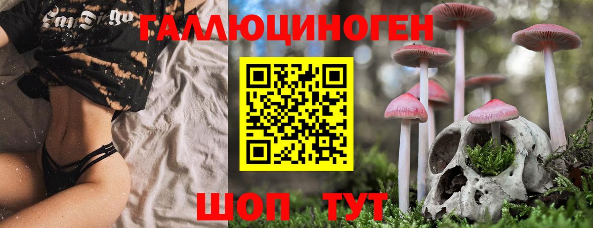 Великий Новгород  Галлюциногенные грибы Psilocybine cubensis  Вход с VPN 